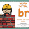 WORD INITIAL 'br' - PICTURE AND WORD CARDS