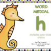 WORD MEDIAL 'h' - PICTURE AND WORD CARDS