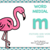 WORD MEDIAL 'm' - PICTURE AND WORD CARDS