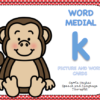 WORD MEDIAL 'k'- PICTURE AND WORD CARDS