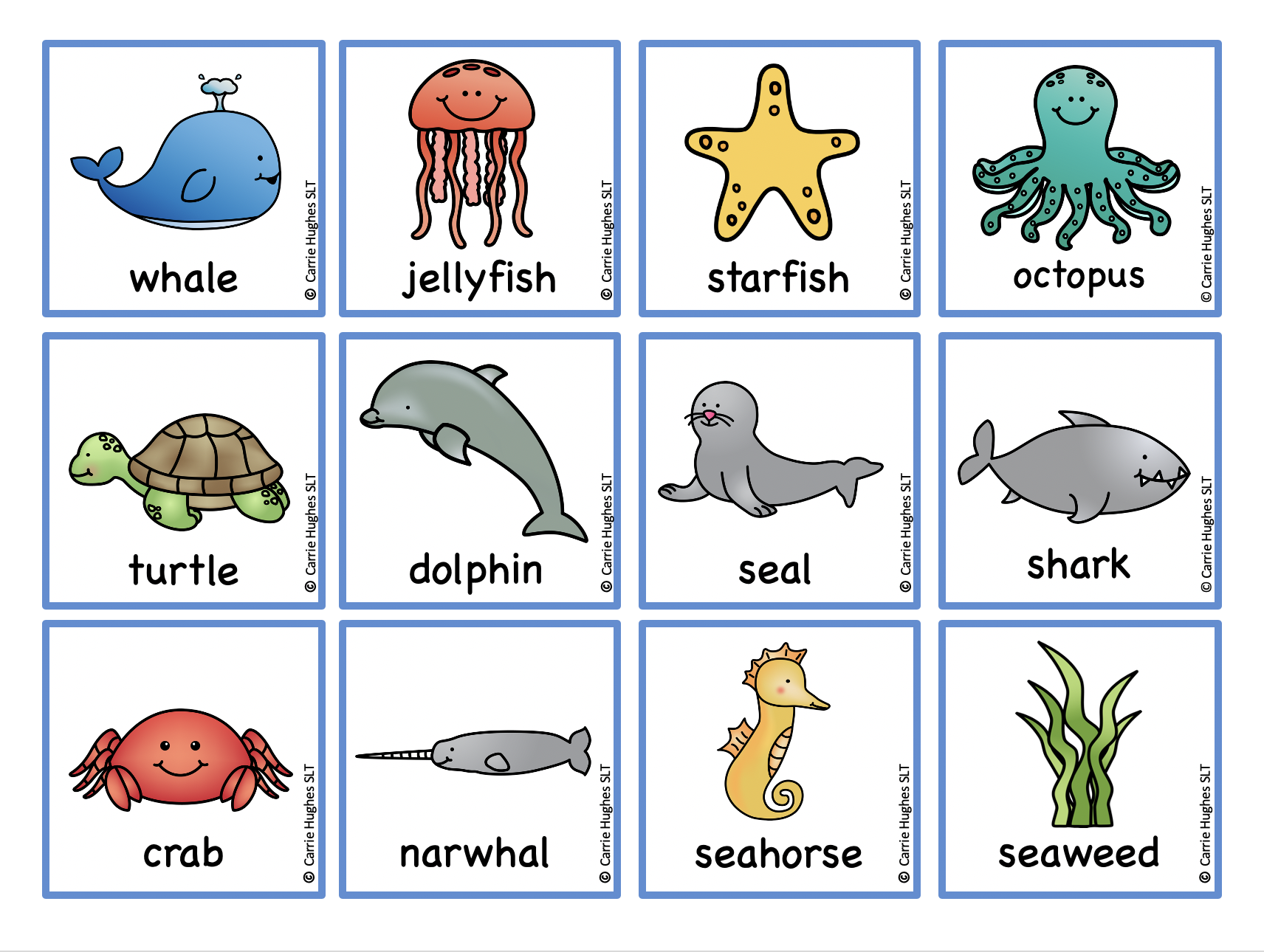 CATEGORIES - THE SEA - PICTURE AND WORD CARDS - Carrie Hughes