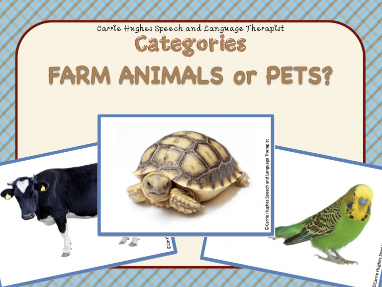 CATEGORIES - FARM ANIMALS OR PETS - PHOTOS - Carrie Hughes