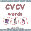 CVCV PICTURE AND WORD CARDS