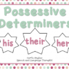 POSSESSIVE DETERMINERS - HIS HER THEIR